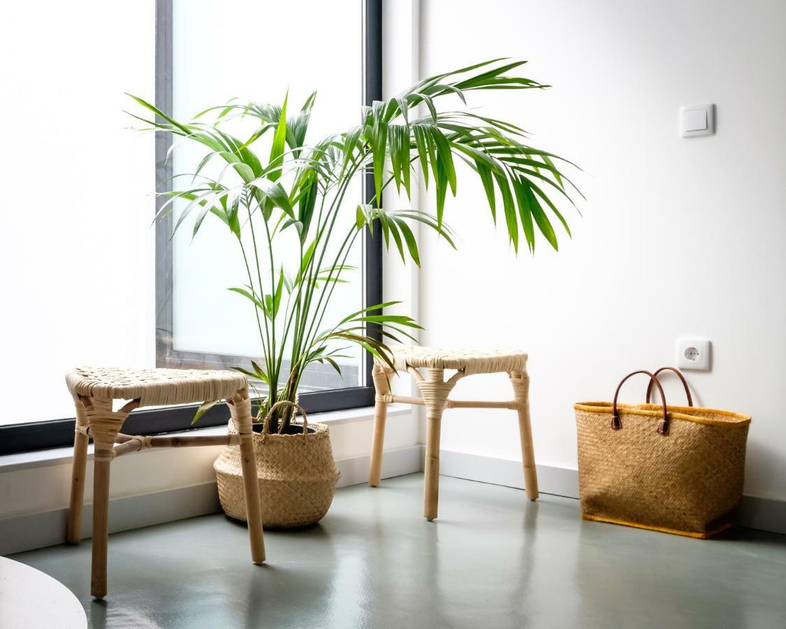 Casa Do Vento By Home Sweet Home Aveiro Exterior photo